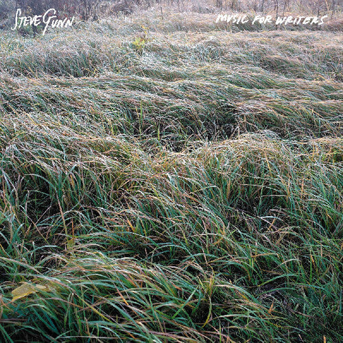 Steve Gunn- Music For Writers { VINYL LP }
