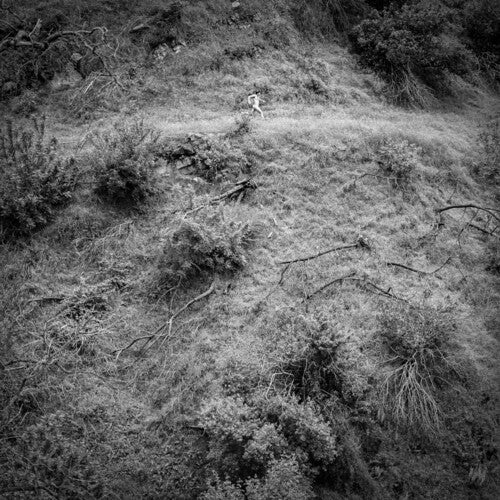 Anna Tivel: Animal Poem - Record