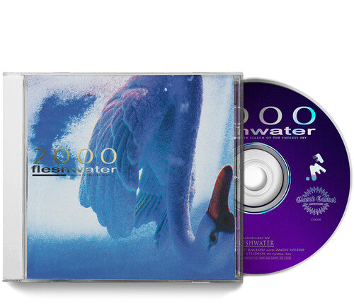 Fleshwater: 2000: In Search Of The Endless Sky - CD