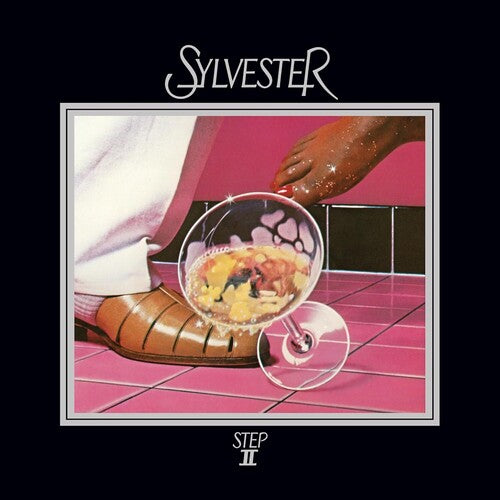 Sylvester: Step II - Record