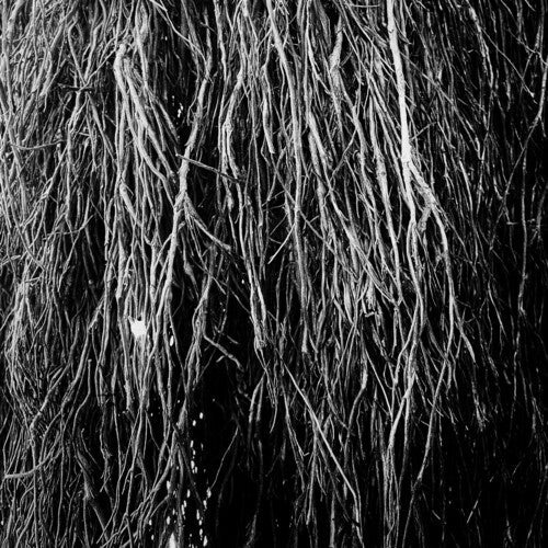 Eraldo Bernocchi: Nocturnal Rainforest - Record