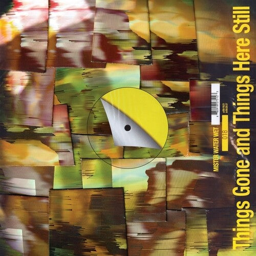 Mister Water Wet- Things Gone and Things Here Still { VINYL LP }