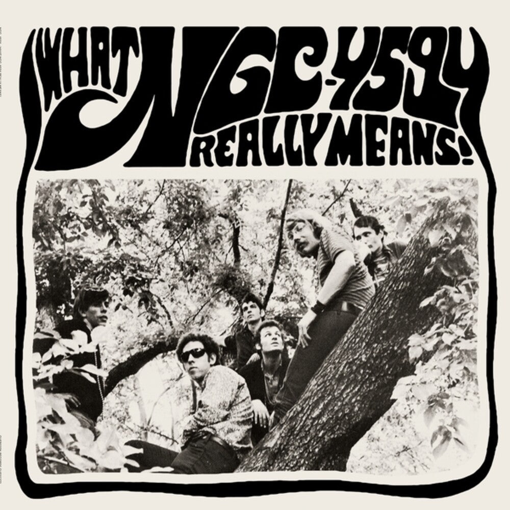 Ngc-4594- What Ngc-4594 Really Means { VINYL LP }