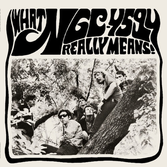 Ngc-4594- What Ngc-4594 Really Means { VINYL LP }