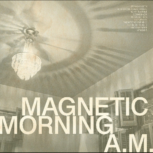 A.M. { VINYL LP }