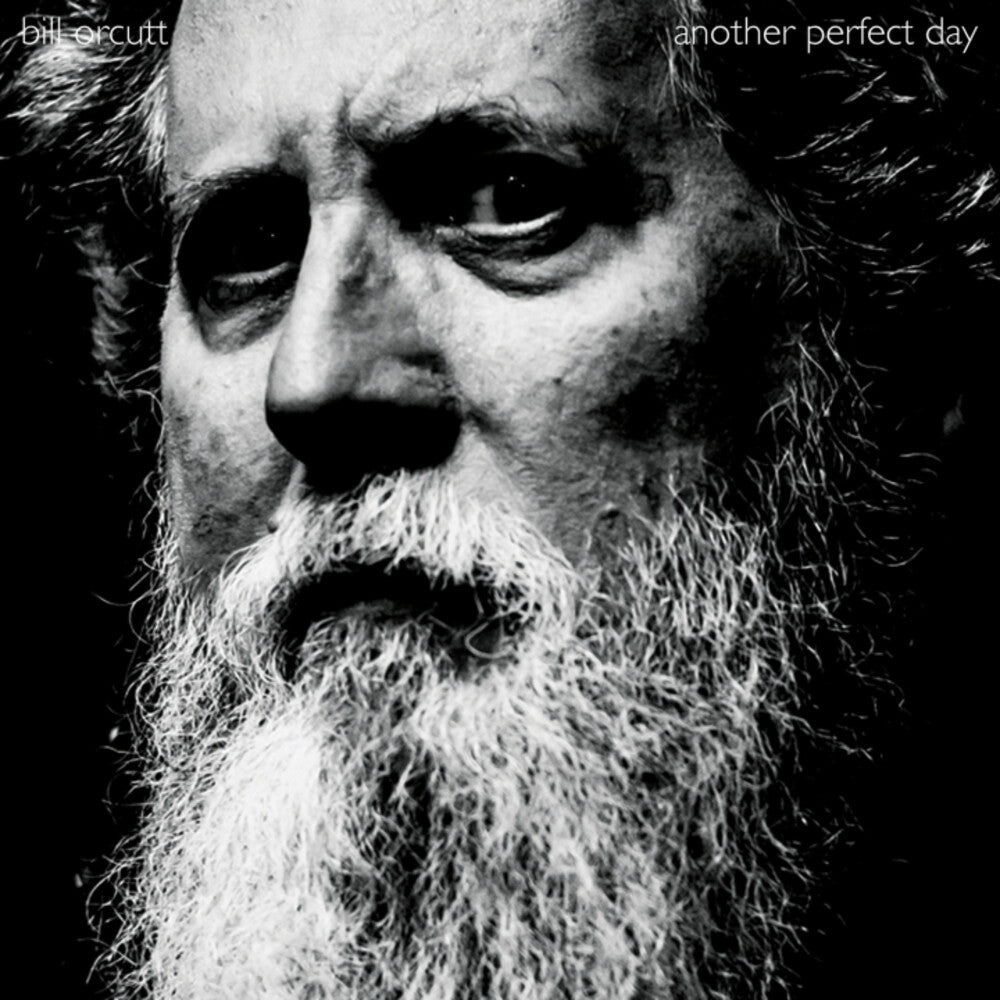 Bill Orcutt- Another Perfect Day { VINYL LP }