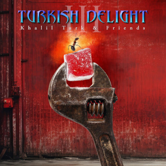 Turkish Delight Volume Three / Various- Turkish Delight Volume Three / Various { VINYL LP }