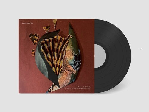 James Hayford: Split - 12-INCH SINGLE