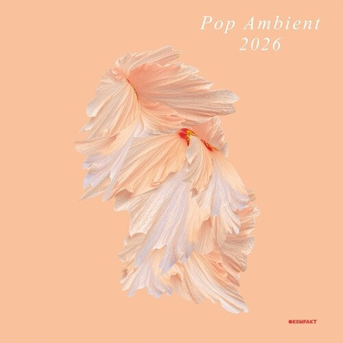 Various Artists: Pop Ambient 2026 - Record