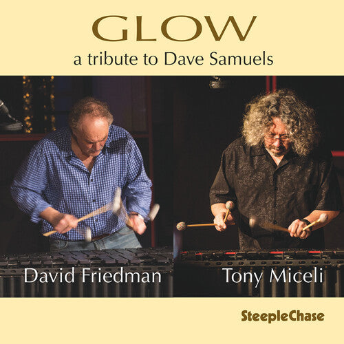 David Friedman: Glow - CD
