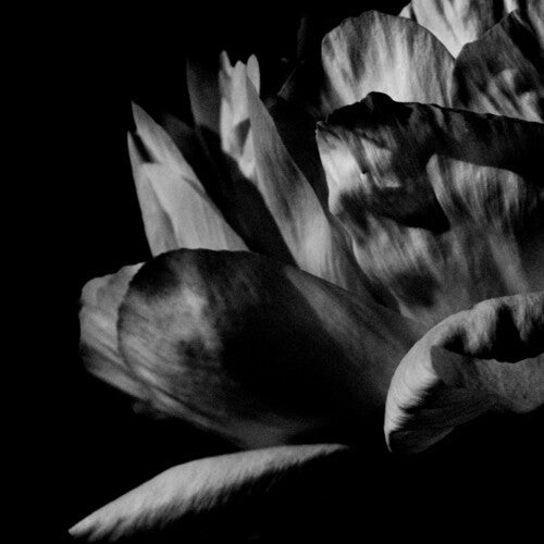 Louise Roam: La Ou Passe La Nuit - Record