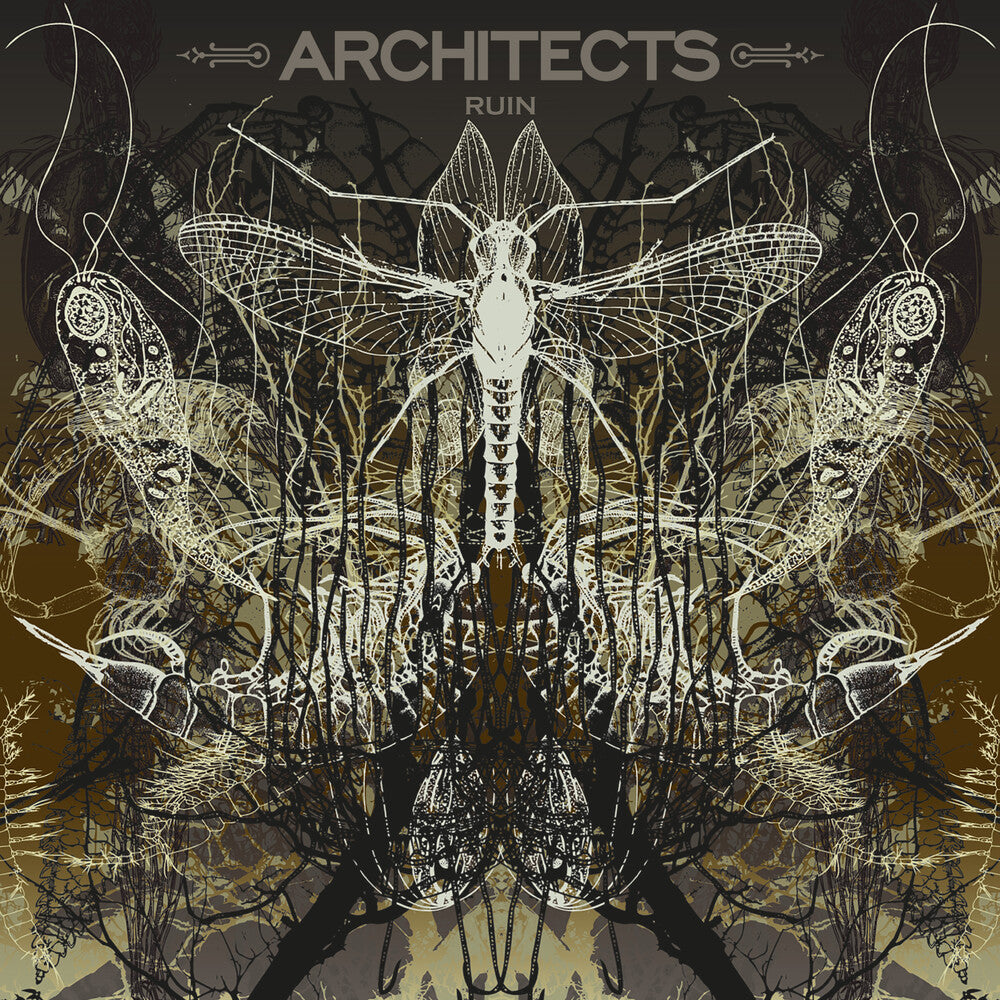 Architects- Ruin [Limited Edition] (Pict) { VINYL LP }