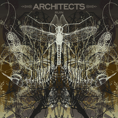 Architects: Ruin - VINYL
