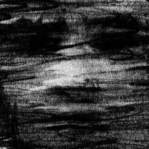 Born Erased: Birds Drink My Blood - Record