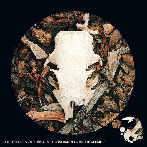 Architects of Existence: Fragments Of Existence - Record