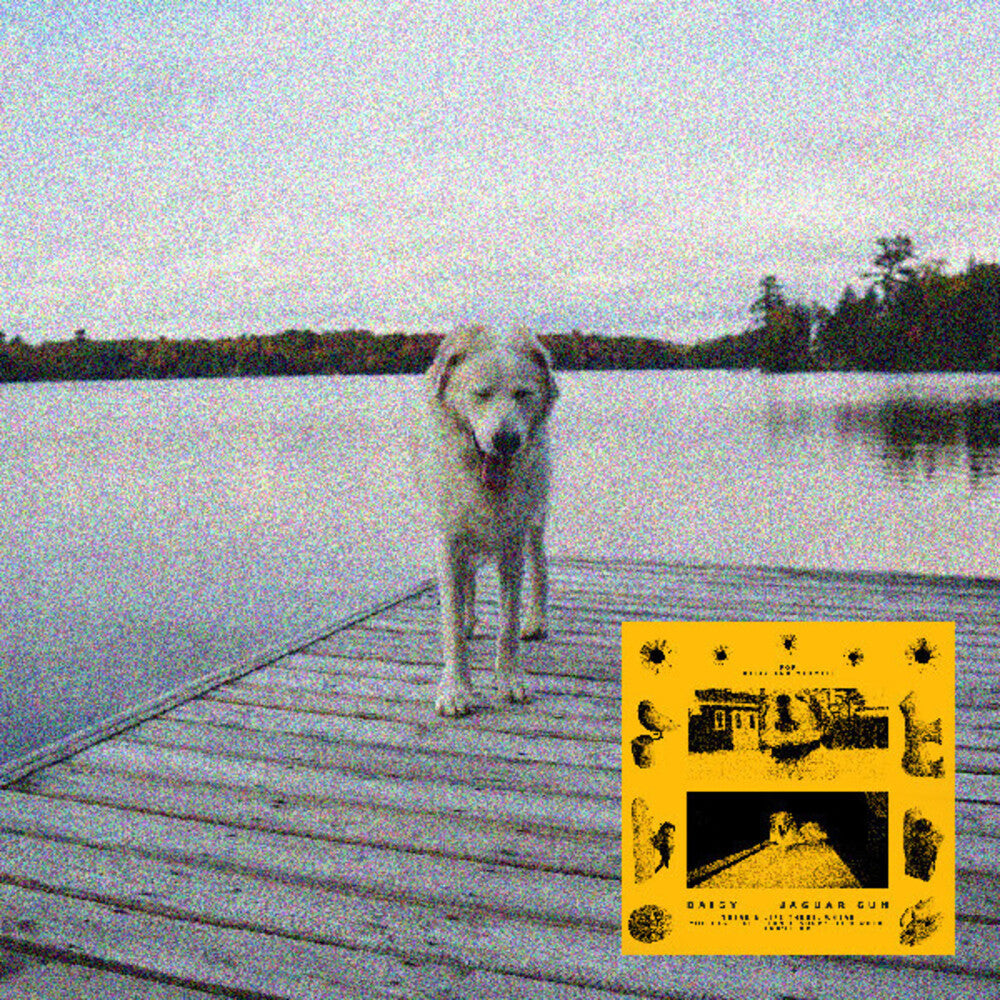 Jaguar Sun- Daisy (Blk) [Colored Vinyl] (Ylw) { VINYL LP }