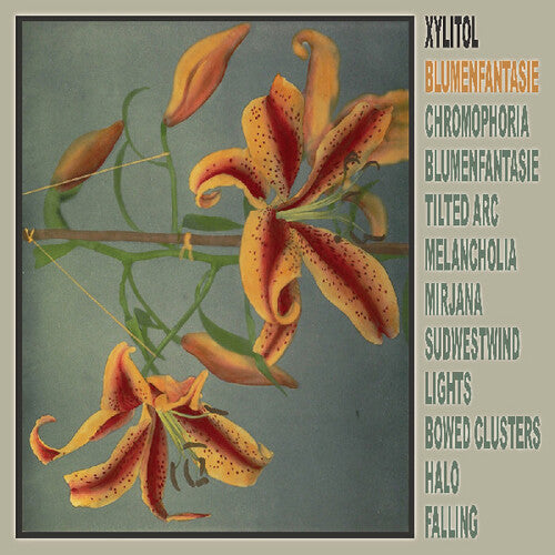 Xylitol: Blumenfantasie - Record