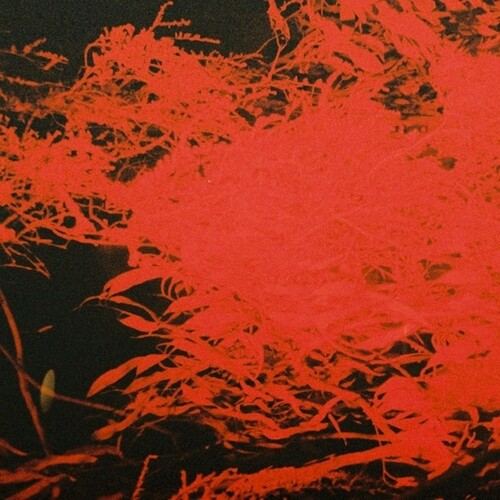Anthony Naples: In Studio Magic - Record