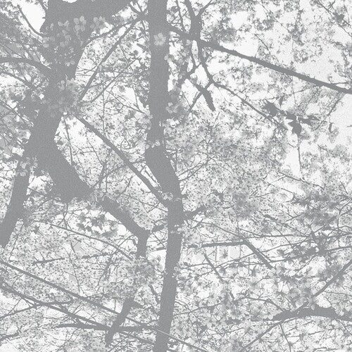 Black Rain: Obliteration Bliss - Record