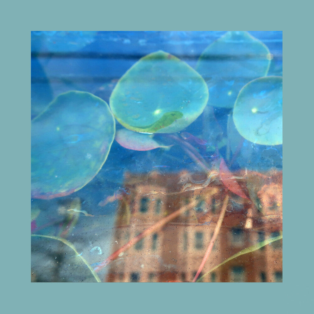 Reds Pinks & Purples- Acknowledge Kindness [Indie Exclusive] - Subconscious Window { VINYL LP }
