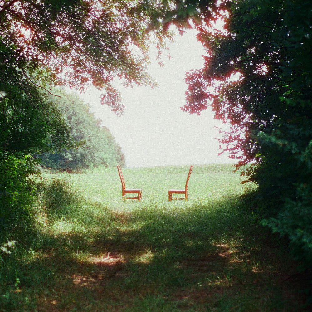 Ratboys- Singin' to an Empty Chair [Indie Exclusive Brown and Green Marbled] { VINYL LP }