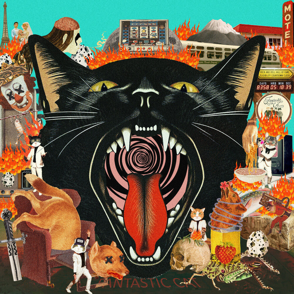 Fantastic Cat- Cat Out of Hell { VINYL LP }