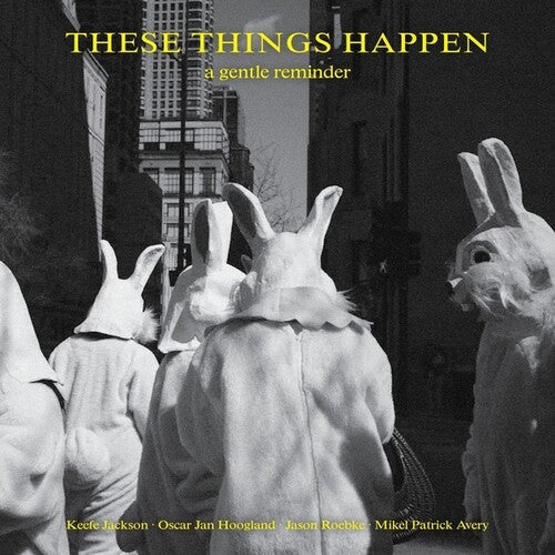 These Things Happen: A Gentle Reminder - VINYL