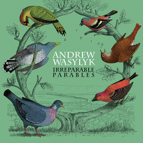 Andrew Wasylyk: Irreparable Parables - Pink Vinyl - Record