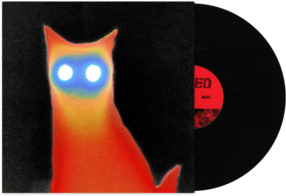 Basement- Wired { VINYL LP }