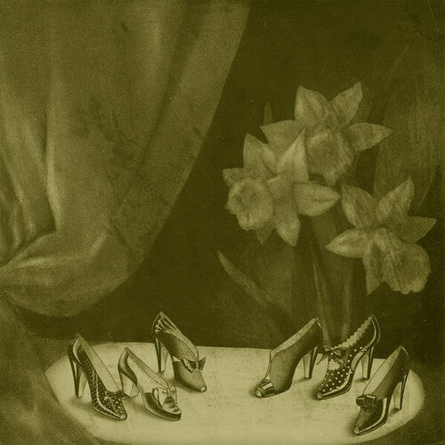 Alice Cohen: Into The Grey Salons - Record