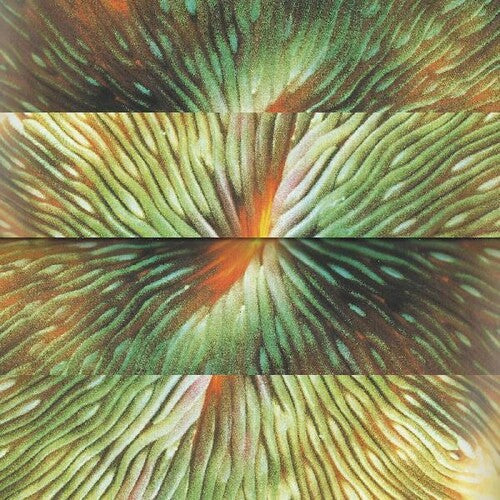 Active Surplus: Mirroring - Record