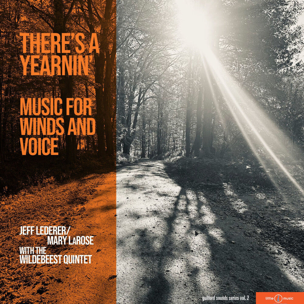 Jeff Lederer- There's A Yearnin' { VINYL LP }