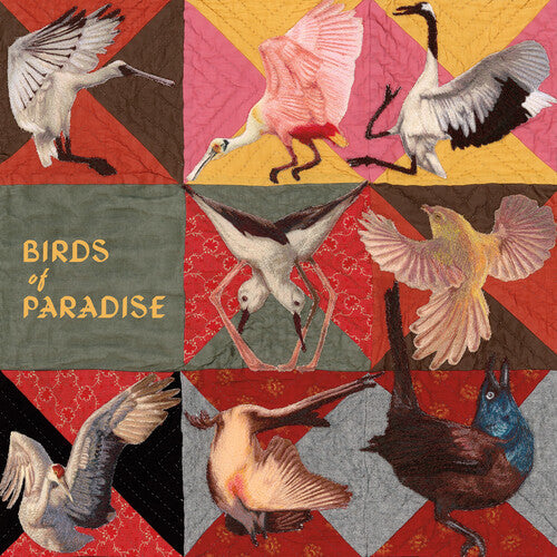 Thomas Dollbaum: Birds of Paradise - Pink - Record