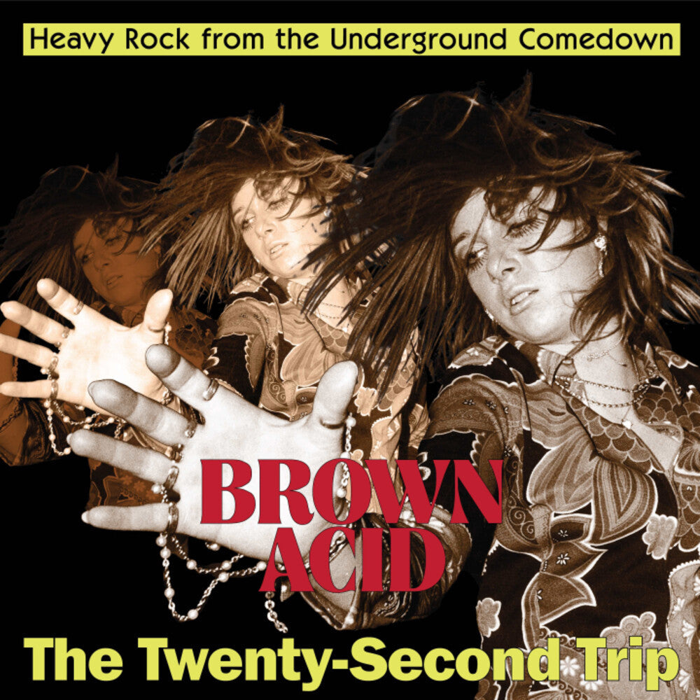 Brown Acid - Twenty-Second Trip / Various- Brown Acid - The Twenty-Second Trip (Various Artists) { VINYL LP }