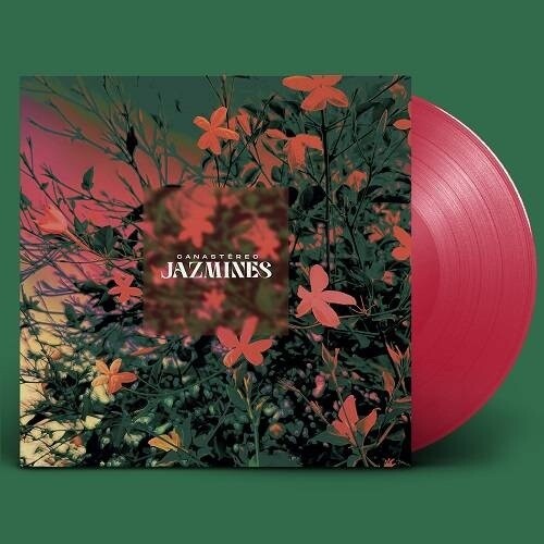 Canastereo: Jazmines - VINYL