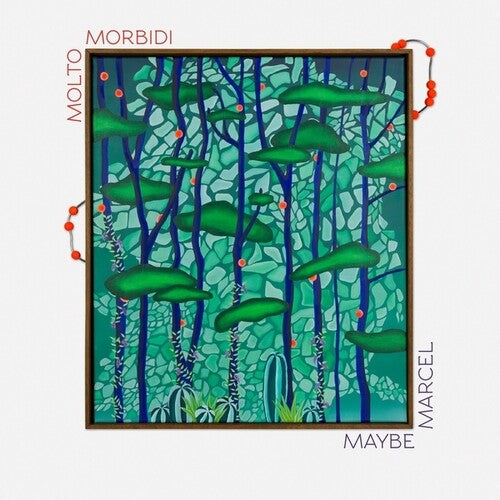 Molto Morbidi: Maybe Marcel - Record