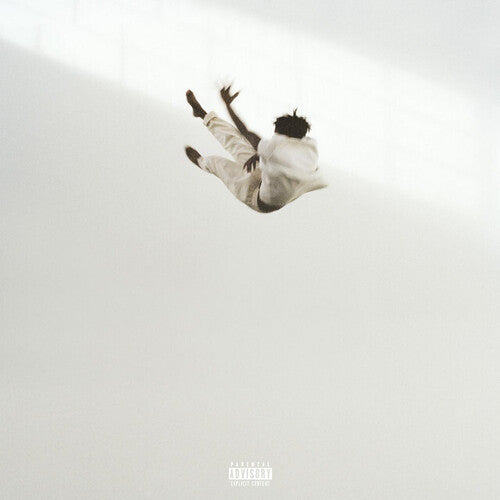 Daniel Caesar: Pilgrim's Paradise - VINYL