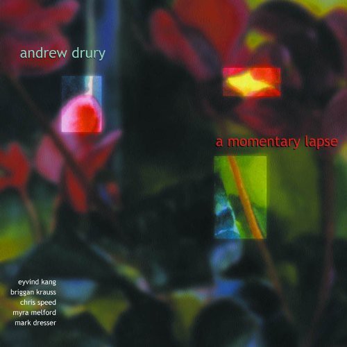 Andrew Drury: Momentary Lapse - CD