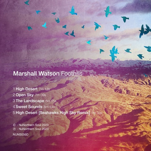 Marshall Watson- Foothills { VINYL LP }