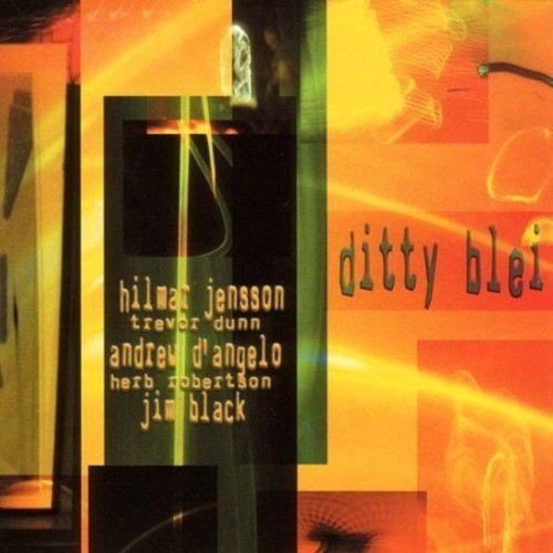 Hilmar Jensson: Ditty Blei - SUPER-AUDIO CD