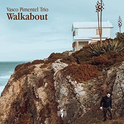 Vasco Trio Pimentel: Walkabout - CD