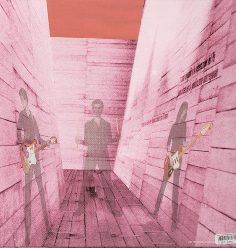 Blonde Redhead: In An Expression of the Inexpressible - Record