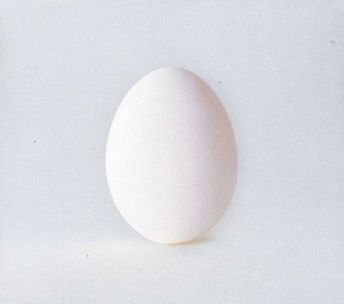 Wilco: A Ghost Is Born - Record