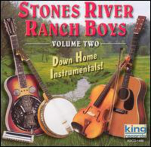Stones River Ranch Boys: Down Home Instrumentals, Vol. 2 - Record