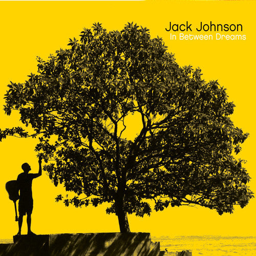 Jack Johnson: In Between Dreams - VINYL