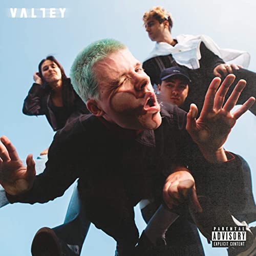 Valley: Sucks To See You Doing - VINYL