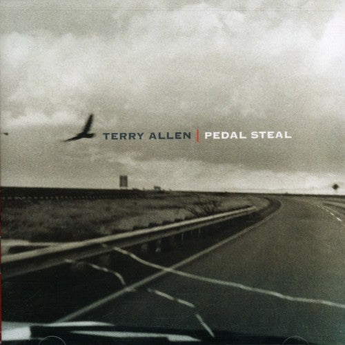 Terry Allen: Pedal Steel - Record
