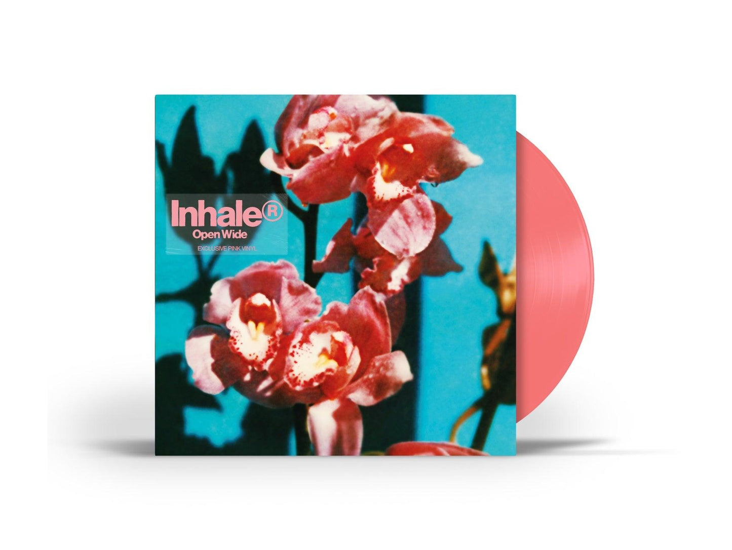 Inhaler- Open Wide [Pink LP] (Indie Exclusive Vinyl) { VINYL LP }