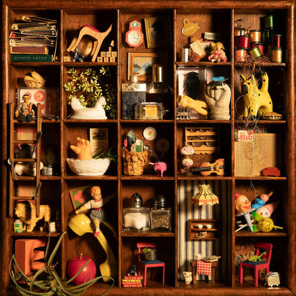 Mediocre- Growth Eater { VINYL LP }