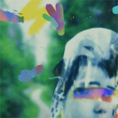 Team Me- Something In The Making { VINYL LP }